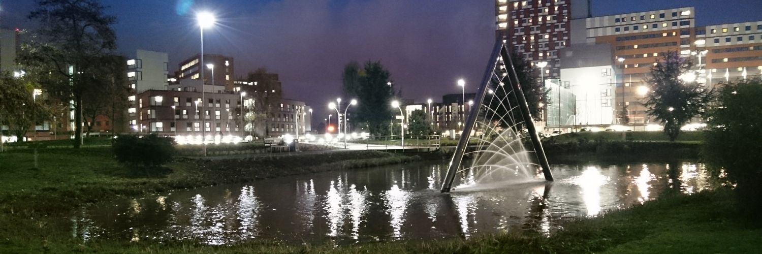 itscholes's profile banner image