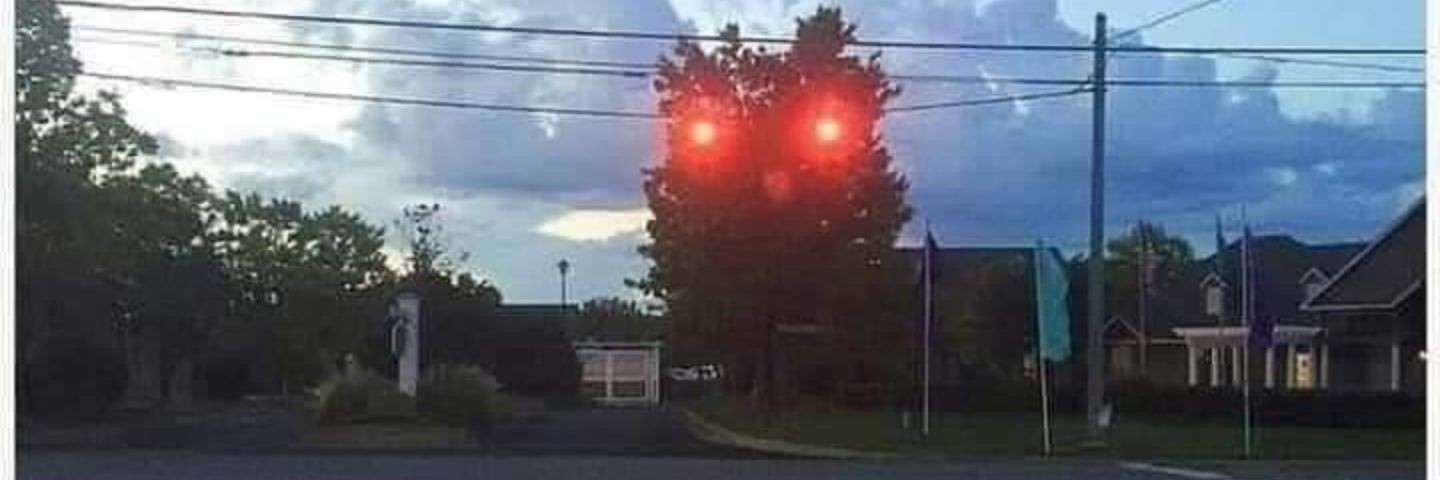 Brian Willard banner