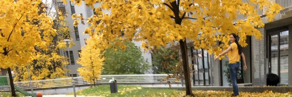 ingridihme Profile Banner