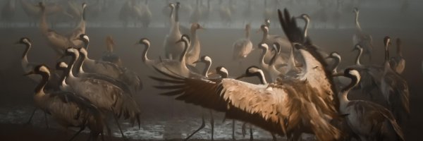 Littalics Profile Banner