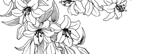 johnyeeww's profile banner image