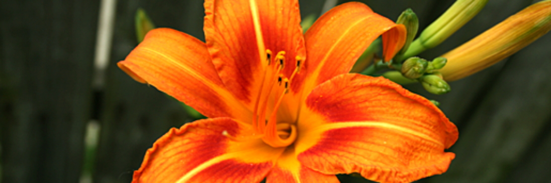 Seb_Despres's profile banner image