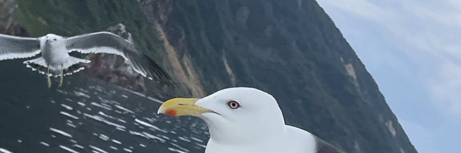 decoyaka's profile banner image