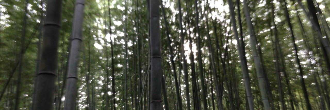 ピアノ男 Piaman banner