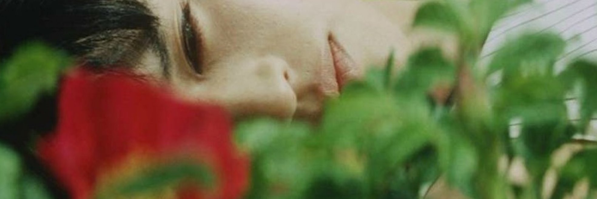 natalyafumo's profile banner image