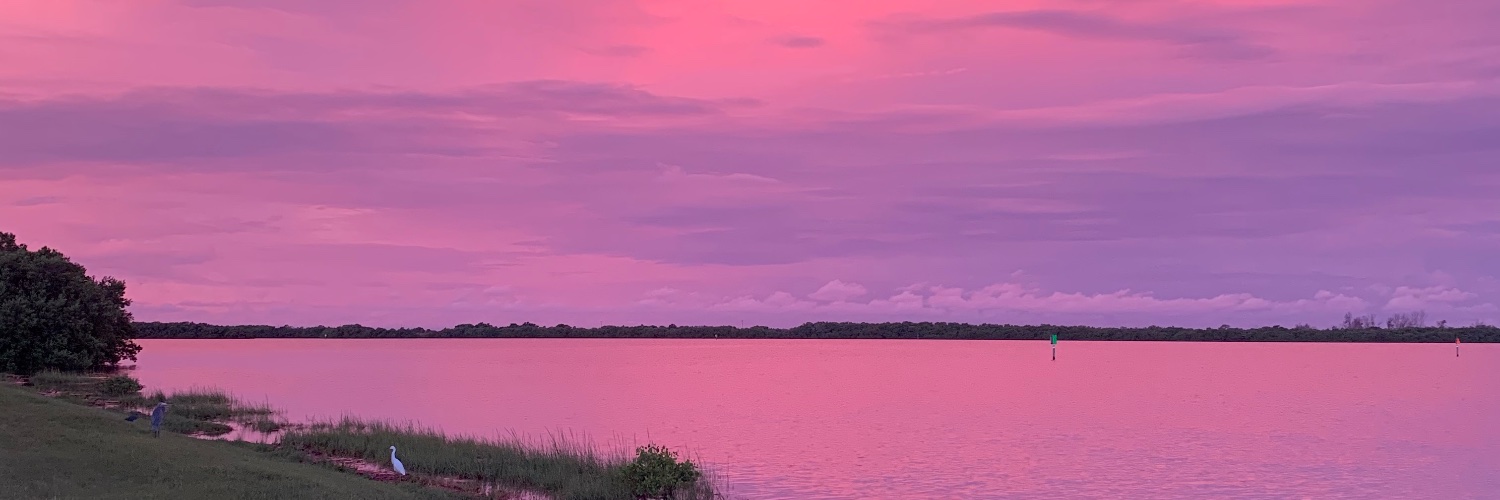 g banner