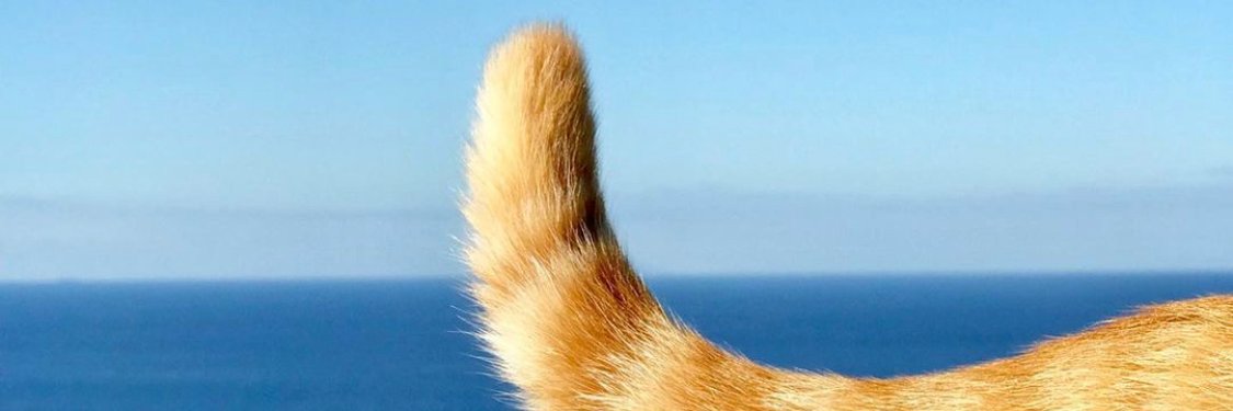 cgrover01's profile banner image