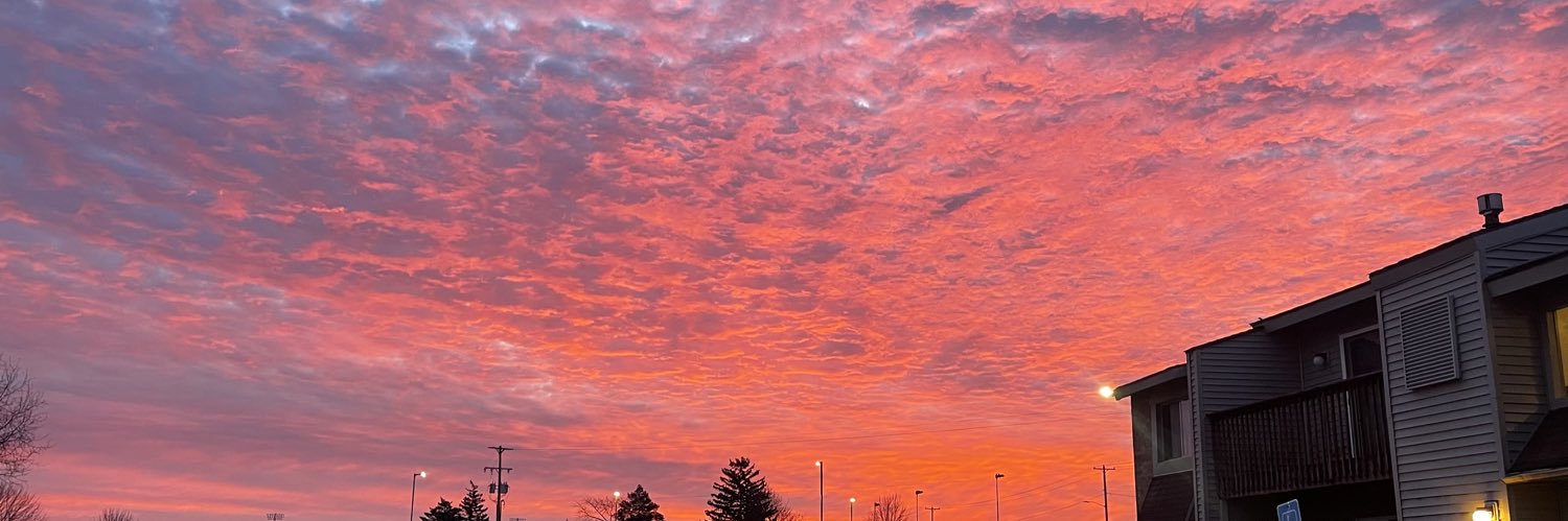 orangehicpls's profile banner image