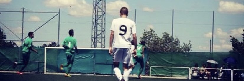 Pedro banner
