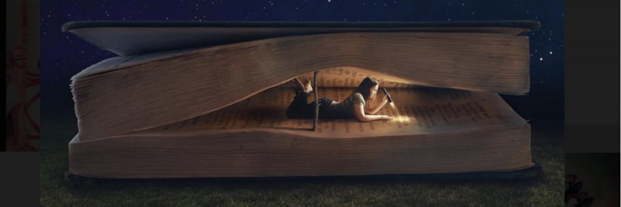 dgdilek's profile banner image