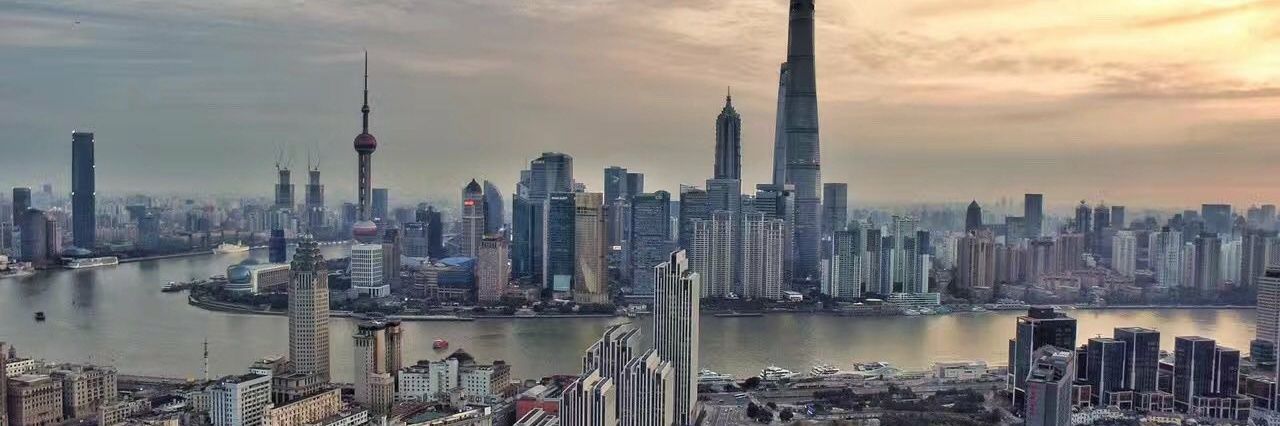 大窝头 banner