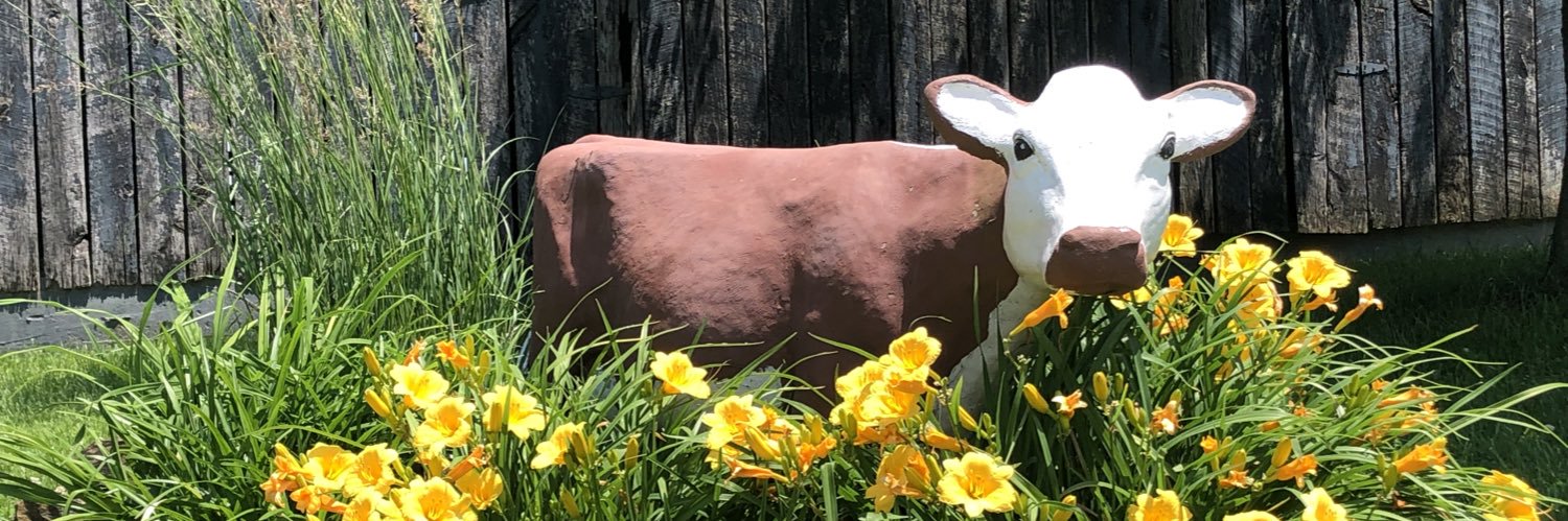 SweetTFarm's profile banner image