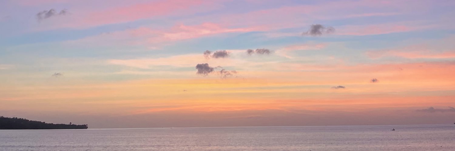 PuspitaIPS's profile banner image
