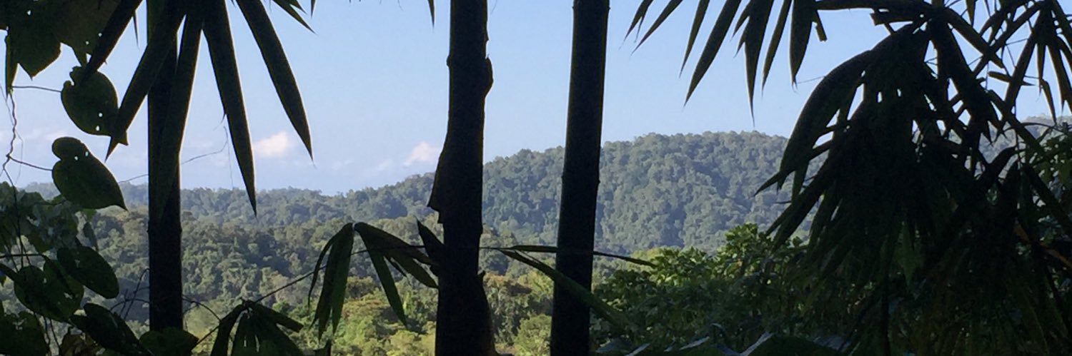 NanSheppard's profile banner image