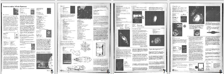 Agnès Constant banner