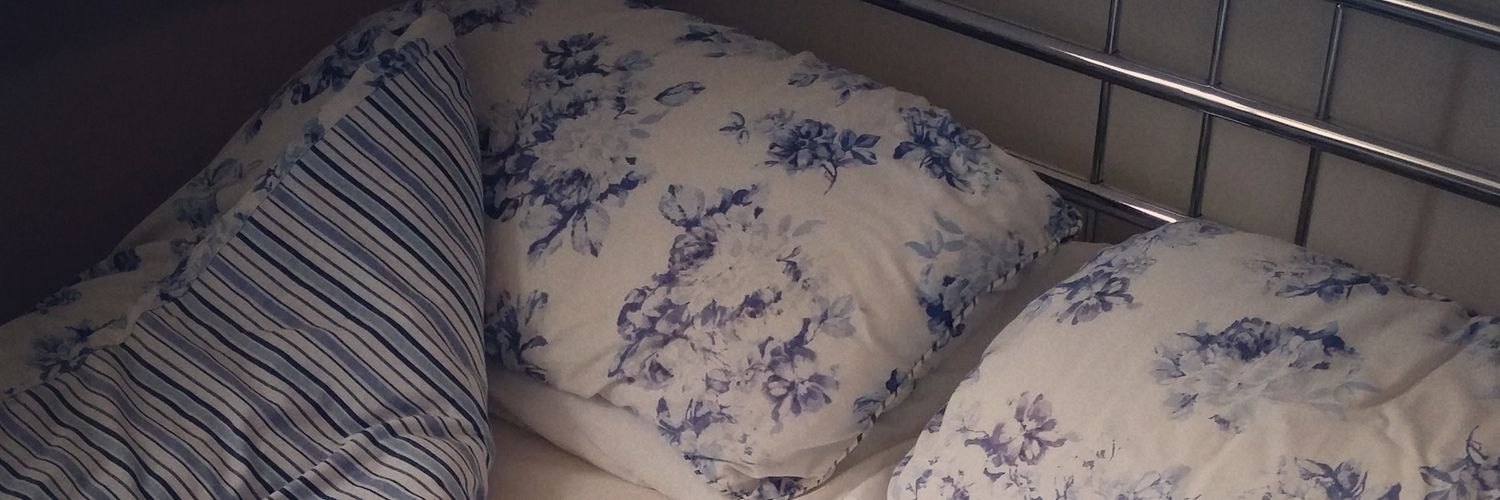abbysd's profile banner image