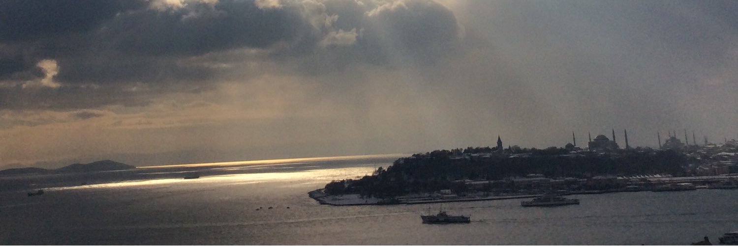 Gül Günver TURAN banner