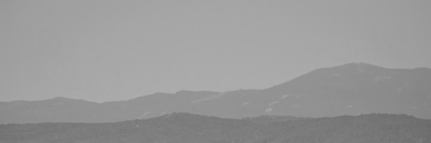 reefloretto's profile banner image