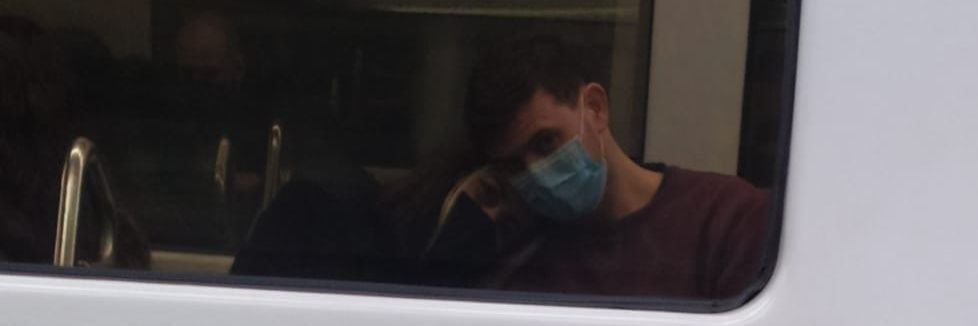 Dani Camino banner