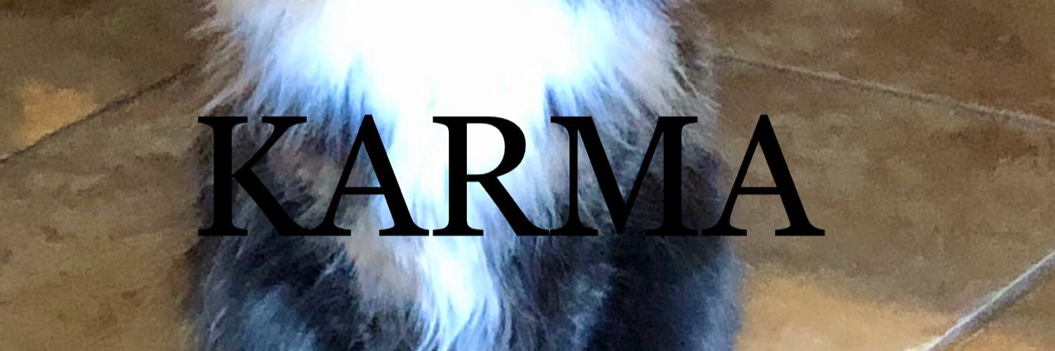 Drew Feinberg banner