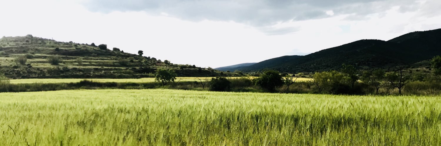 AlmansaTD's profile banner image