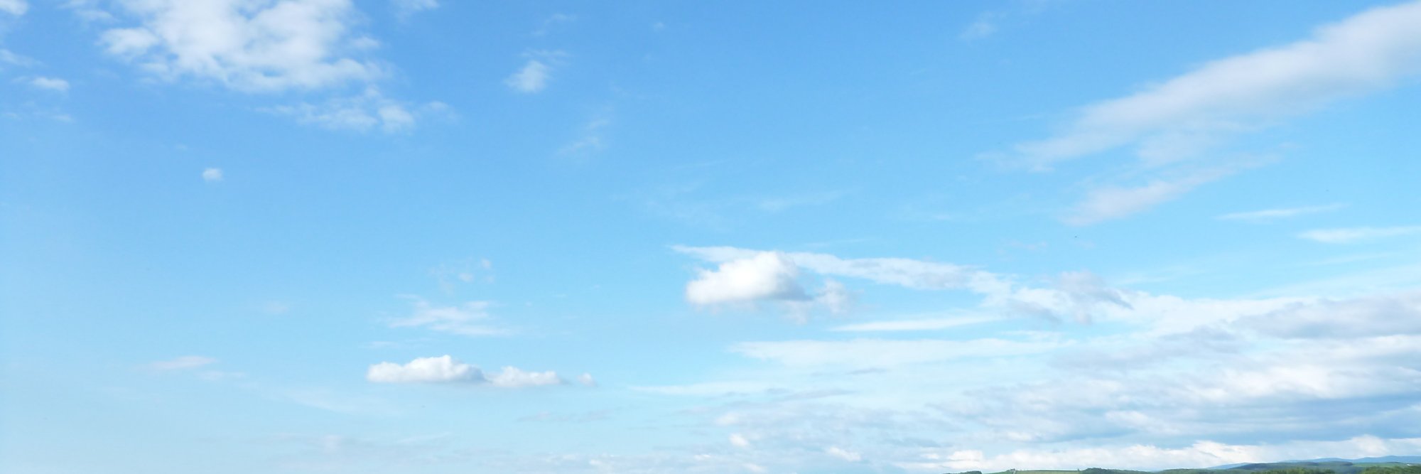 Ichihime's profile banner image