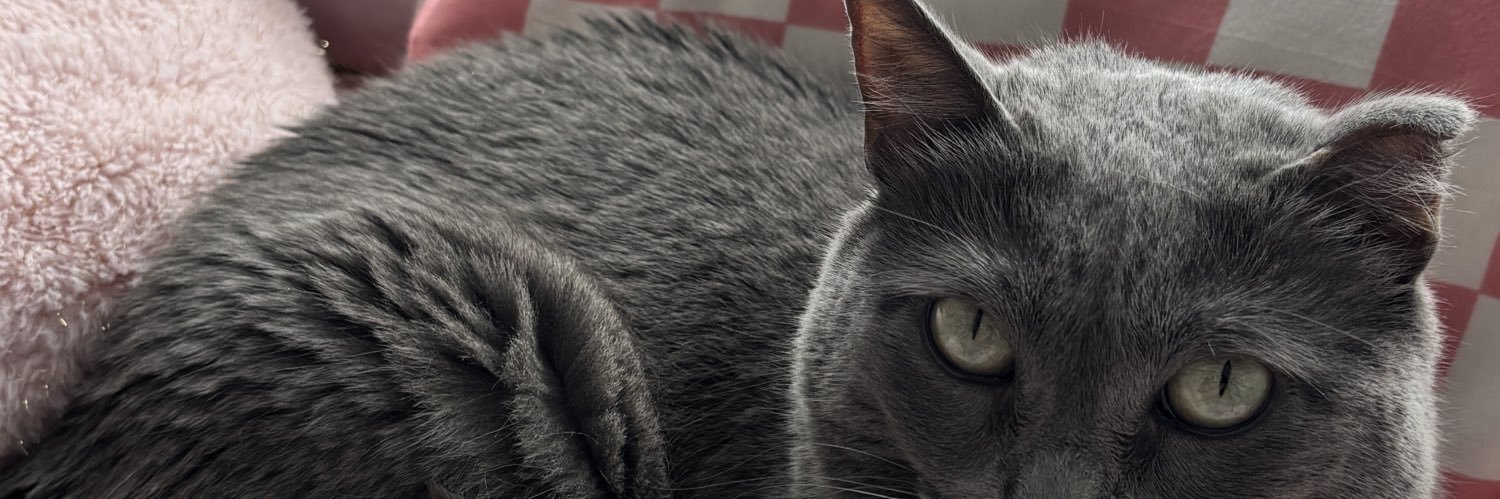 cherrybombbb's profile banner image