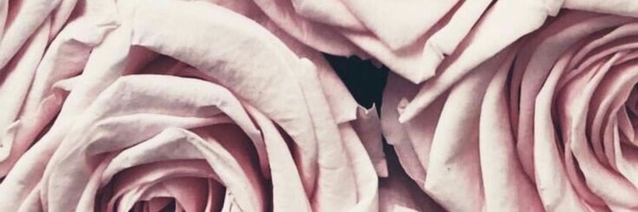 _leocipriano's profile banner image