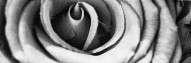 sah89890's profile banner image