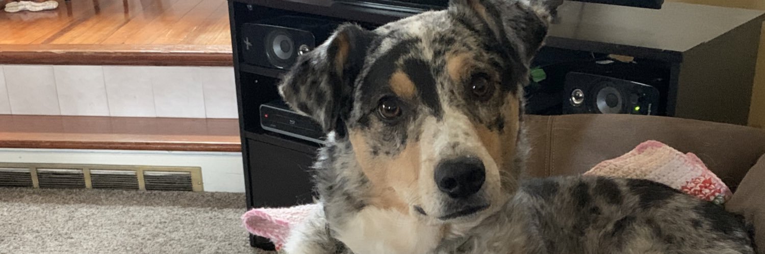 paytonnnnwalker's profile banner image