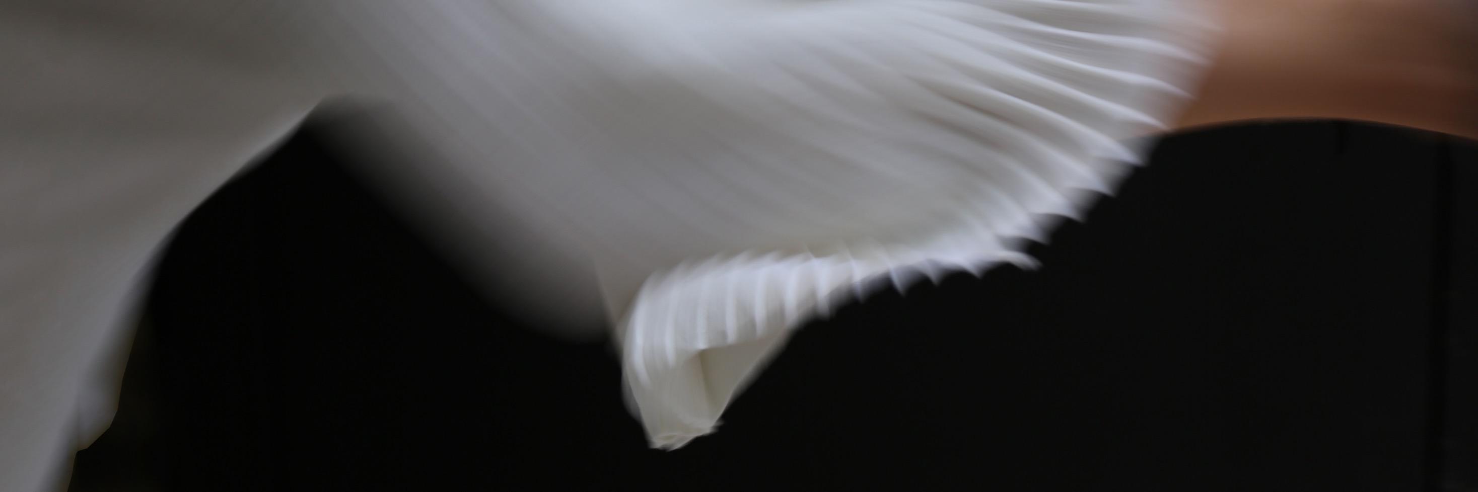 1205 banner