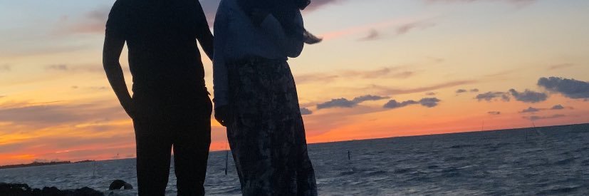 polluxsmind's profile banner image