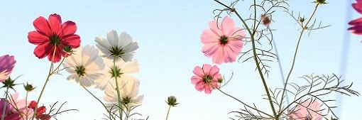 khulud111's profile banner image