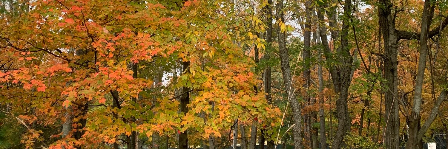 gelransom's profile banner image