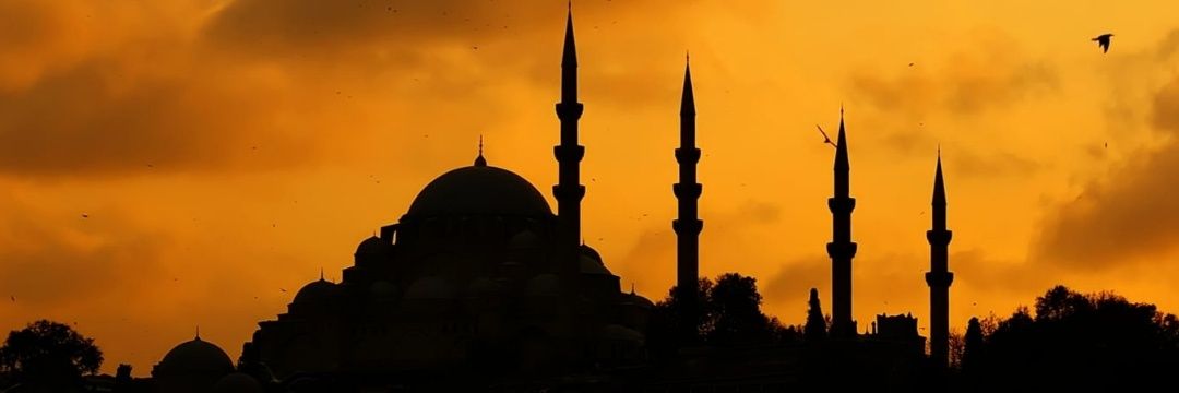 erdagivedat's profile banner image