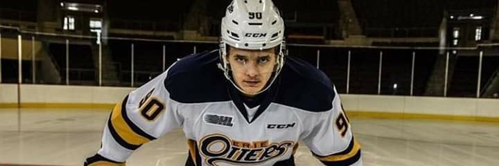 Sara Reilly Snidarich banner