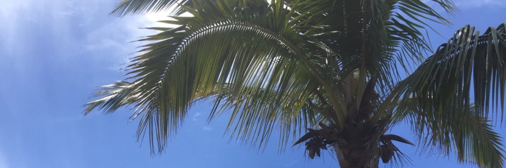 jacquelineeee9's profile banner image