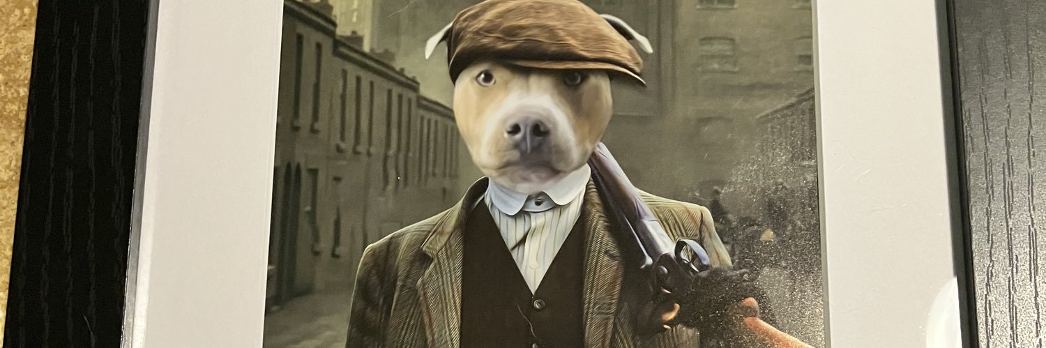 extonfox's profile banner image
