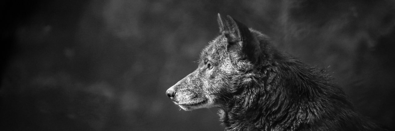 MattersWork's profile banner image