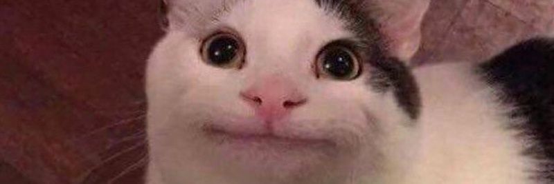 Tatyhet's profile banner image