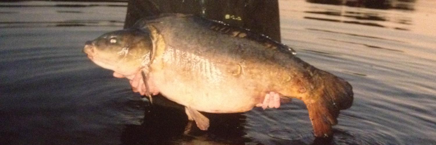Carpy_Fish's profile banner image