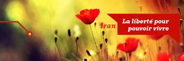 CSDHI Profile Banner