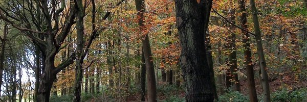 sara_izzM Profile Banner