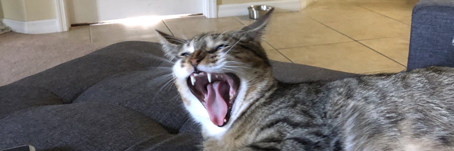 isabelarod3's profile banner image