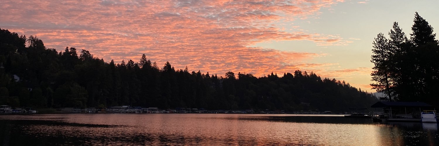 🌴Marc Averitt🌴 banner