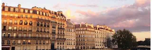 Lorena Naves🌵 banner