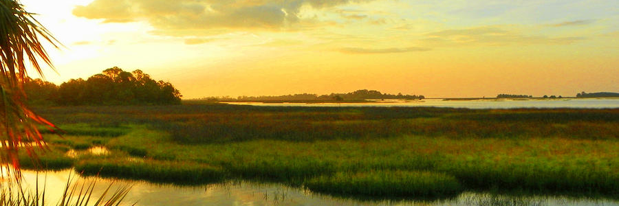 pattibarnes's profile banner image