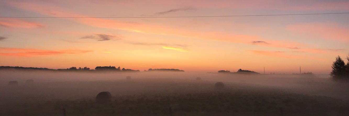 jojo_riehl's profile banner image