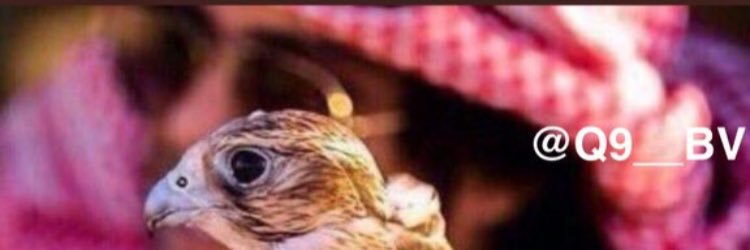 Q9__BV's profile banner image