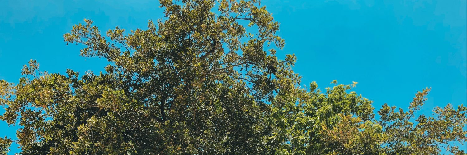 mervindee's profile banner image